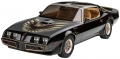 ’79 Pontiac™ Firebird™ Trans Am